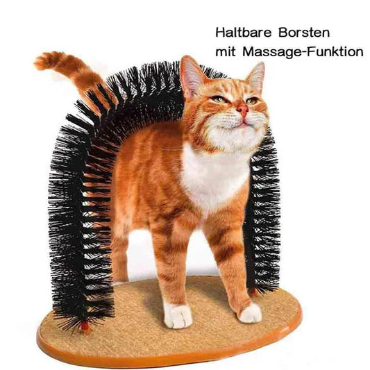 Fiche D' Auto-soin et de Massage pour Chats