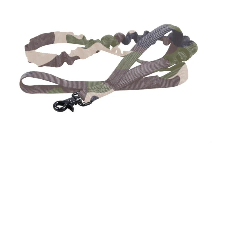 Collier De Chien Réglable En Nylon Avec Fermeture Robuste Par Clic