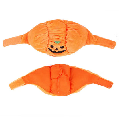 Costume Citrouille D'halloween Pour Chiens