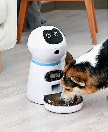 Distributeur Automatique de Nourriture pour Chiens avec Affichage Numérique