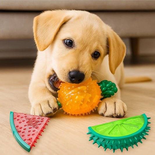 Jouet à mâcher rafraîchissant pour chien en forme de fruit