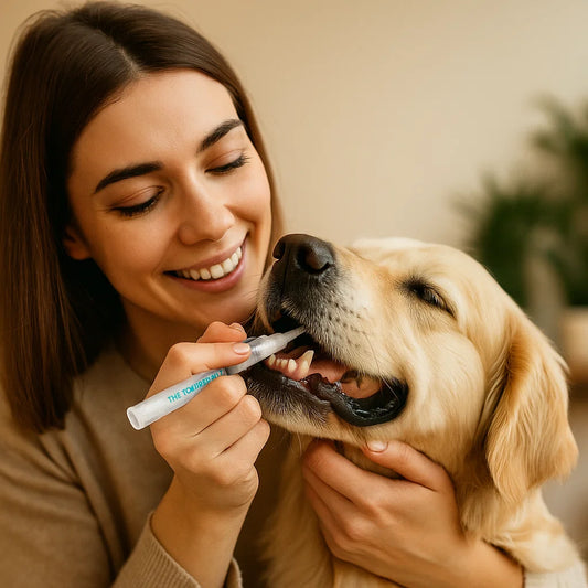 Stylo D'hygiène Dentaire Pour Animaux Domestiques
