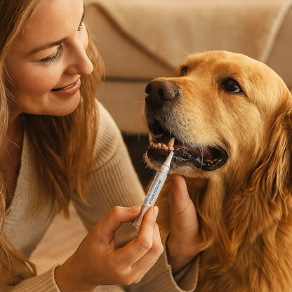 Stylo D'hygiène Dentaire Pour Animaux Domestiques