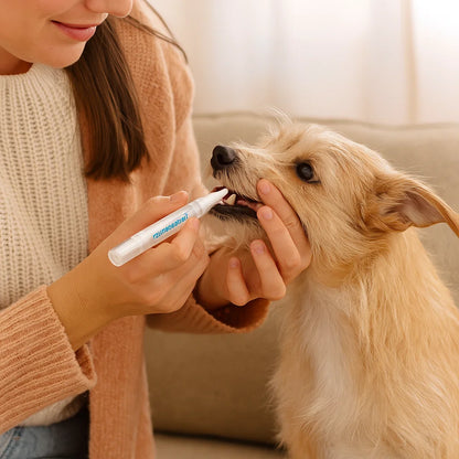 Stylo D'hygiène Dentaire Pour Animaux Domestiques