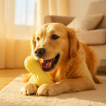 Jouet à mâcher en forme de cacahuète pour chiens, durable