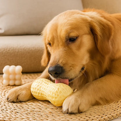 Jouet à mâcher en forme de cacahuète pour chiens, durable