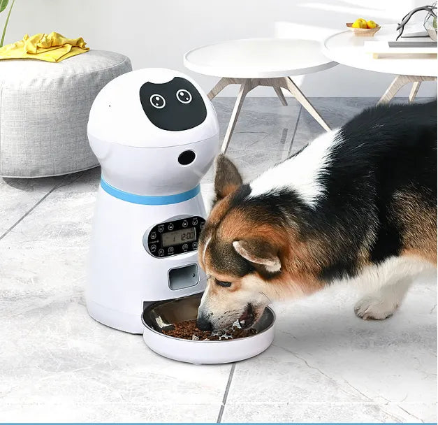 Distributeur Automatique de Nourriture pour Chiens avec Affichage Numérique