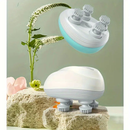 Masseur Pour Animaux Domestiques