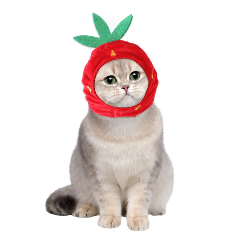 Kit De Toilettage Pour Chats Avec Bigoudis - Matériau Doux Et Facile À Porter