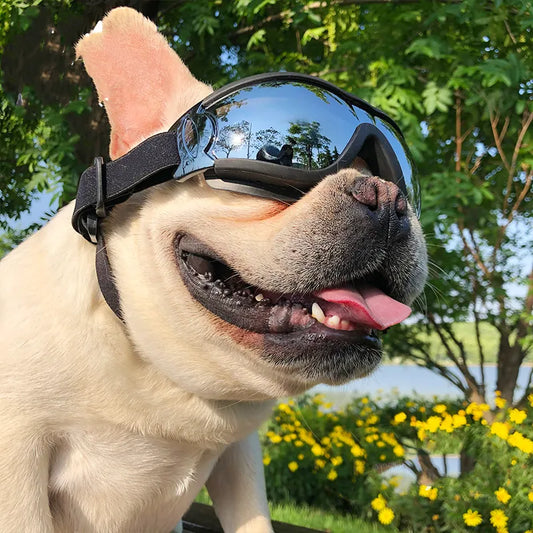 Lunettes De Protection Pour Chiens - Lunettes Anti-UV Et Coupe -Vent Pour Animaux De Compagnie