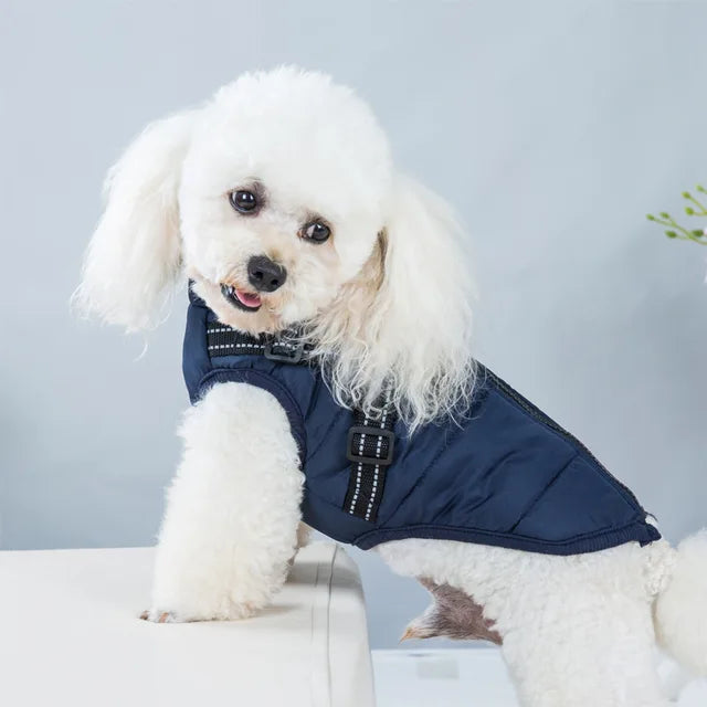 Veste Pour Chien Coupe-vent Et Imperméable Avec Harnais Intégré