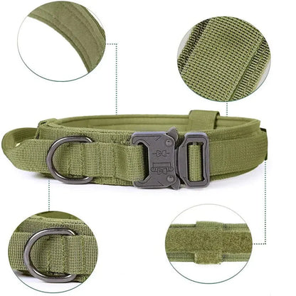Collier De Chien Réglable En Nylon Avec Fermeture Robuste Par Clic