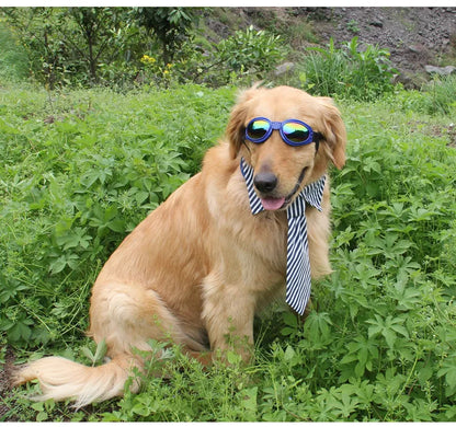 Lunettes De Protection Anti-uv Pour Chiens En 7 Couleurs