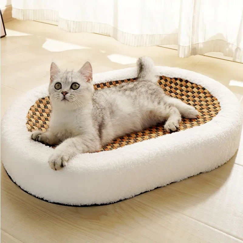 Lit Pour Chat Premium Avec Plaque À Gratter
