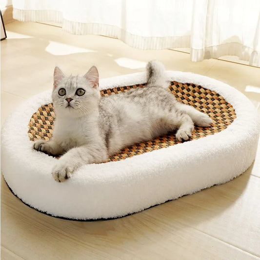 Lit Pour Chat Premium Avec Plaque À Gratter