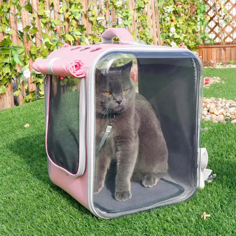 Sac de Transport pour Chats avec Fenêtre - Sac Robuste et Portable pour Animaux Domestiques , pour les Voyages