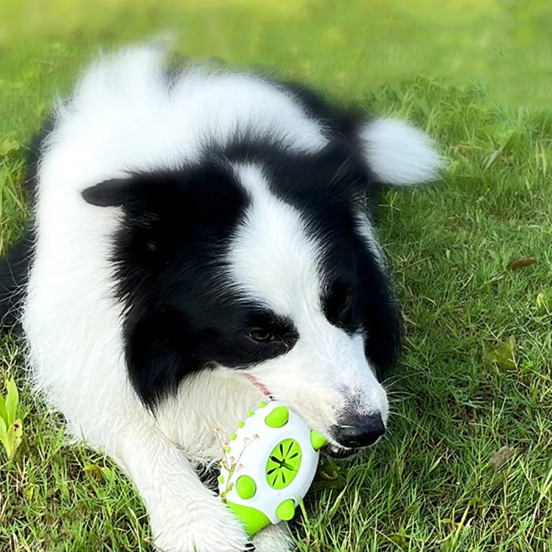 Jouets pour Chiens avec Distributeur de Friandises - Jouets Interactifs à Mâcher pour Chiens