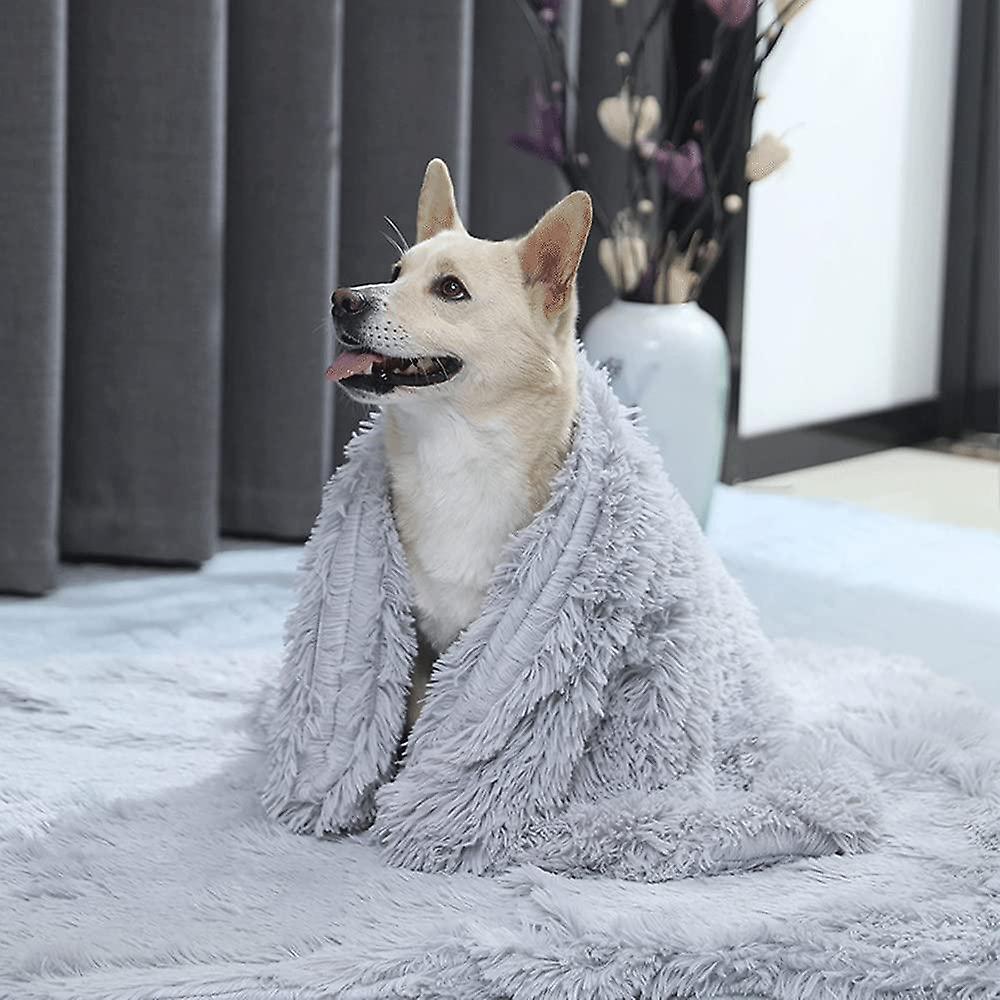 Couverture Pour Chien