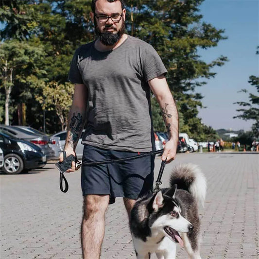 Laisse Élastique Pour Chien Avec Amortisseur - Laisse Absorbant Les Chocs Pour Les Promenades