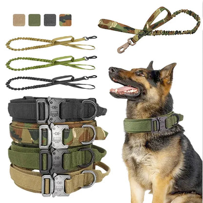 Collier De Chien Réglable En Nylon Avec Fermeture Robuste Par Clic