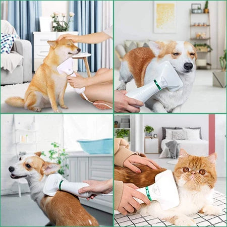 Le Peigne Multifonctionnel 3 en 1 pour Animaux de Compagnie - Sèche - Cheveux Peigne et Masseur