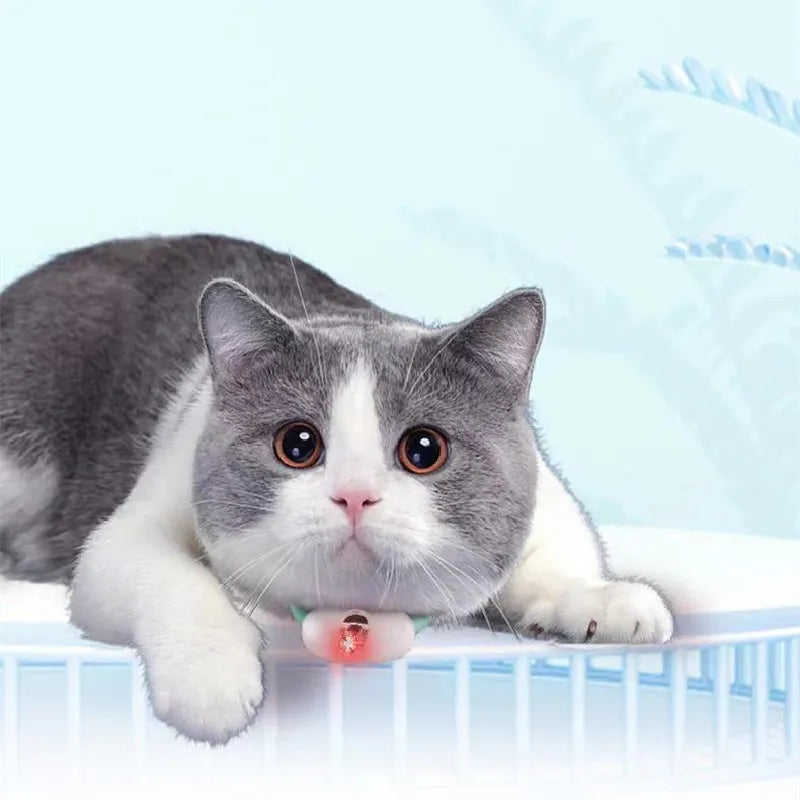 Pointeur Laser pour Chats - Jouet Interactif pour L' Activité et L' Amusement