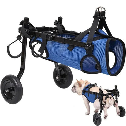 Aide à la Marche pour Chats et Chiens - Fauteuil Roulant pour la Mobilité et L' Indépendance