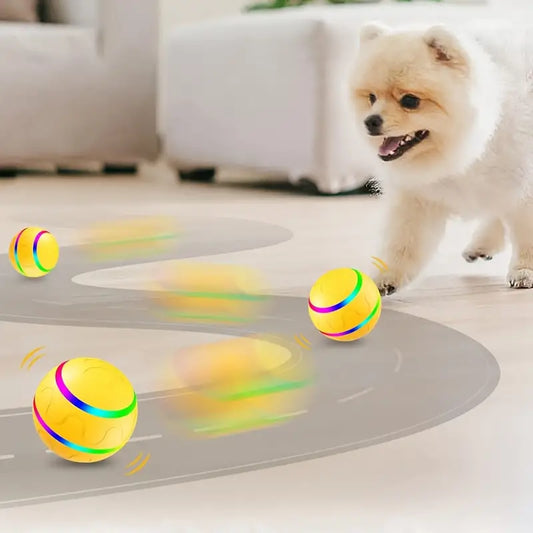 Balle Roulante Active Pour Animaux Domestiques