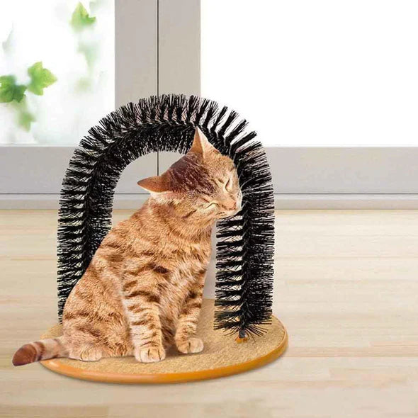 Fiche D' Auto-soin et de Massage pour Chats