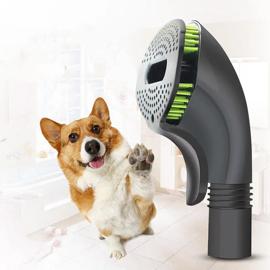 Brosse De Soin Et Massage Pour Chiens