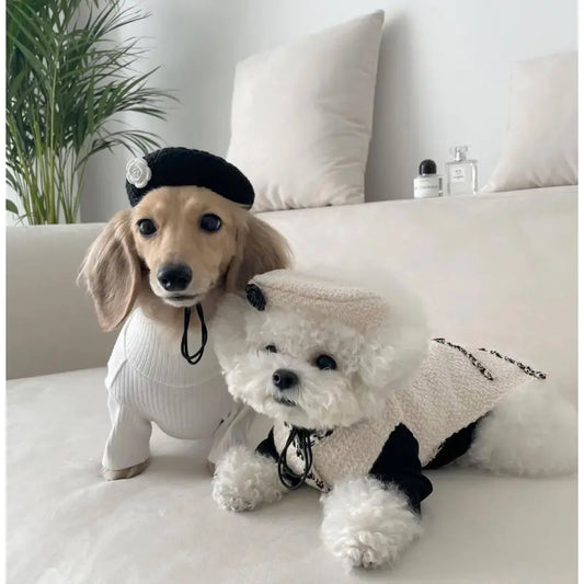 Collier De Chien Élégant Avec Un Petit Chapeau Chic Et Une Application De Fleurs - Design À La Mode Pour Ton Compagnon À Quatre Pattes