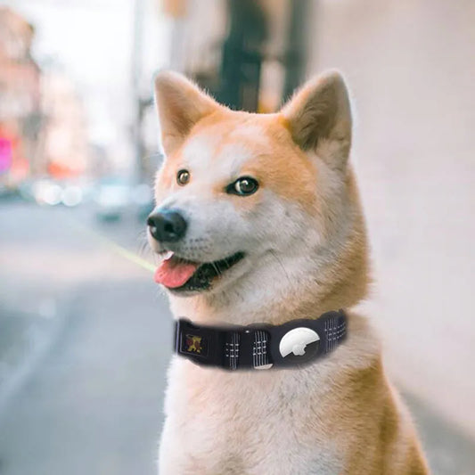 Collier De Chien Réglable Avec Bandes Réfléchissantes - Disponible En Plusieurs Couleurs