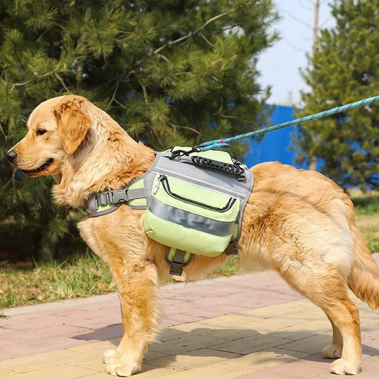 Gilet de Natation pour Chiens avec Bandes Réfléchissantes - Gilet de Sécurité Étanche pour Chiens