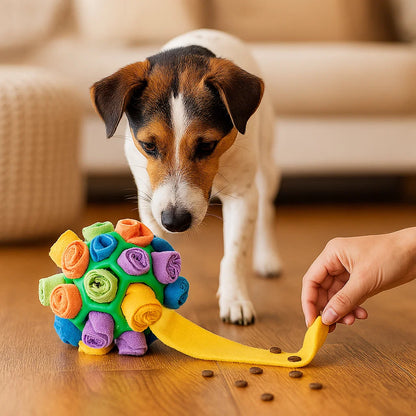 Balle À Renifler - Jouet Interactif À Friandises
