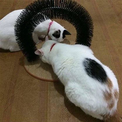 Fiche D' Auto-soin et de Massage pour Chats