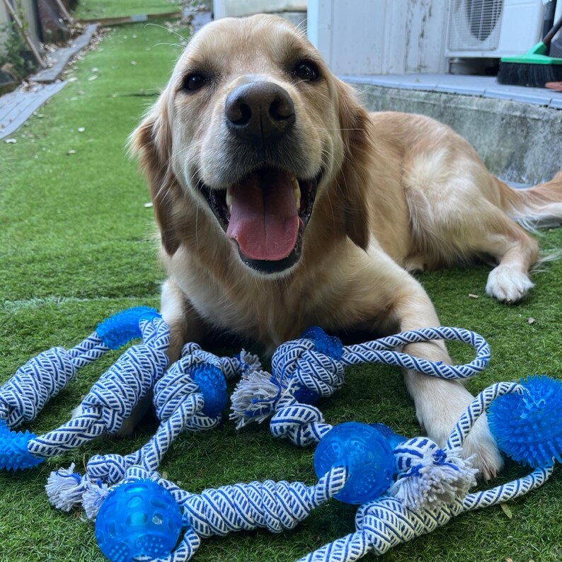 Jouet pour Chien avec Boule en Caoutchouc et Corde - Jouet à Mâcher à Tirer et à Jouer