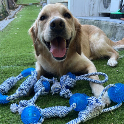 Jouet pour Chien avec Boule en Caoutchouc et Corde - Jouet à Mâcher à Tirer et à Jouer