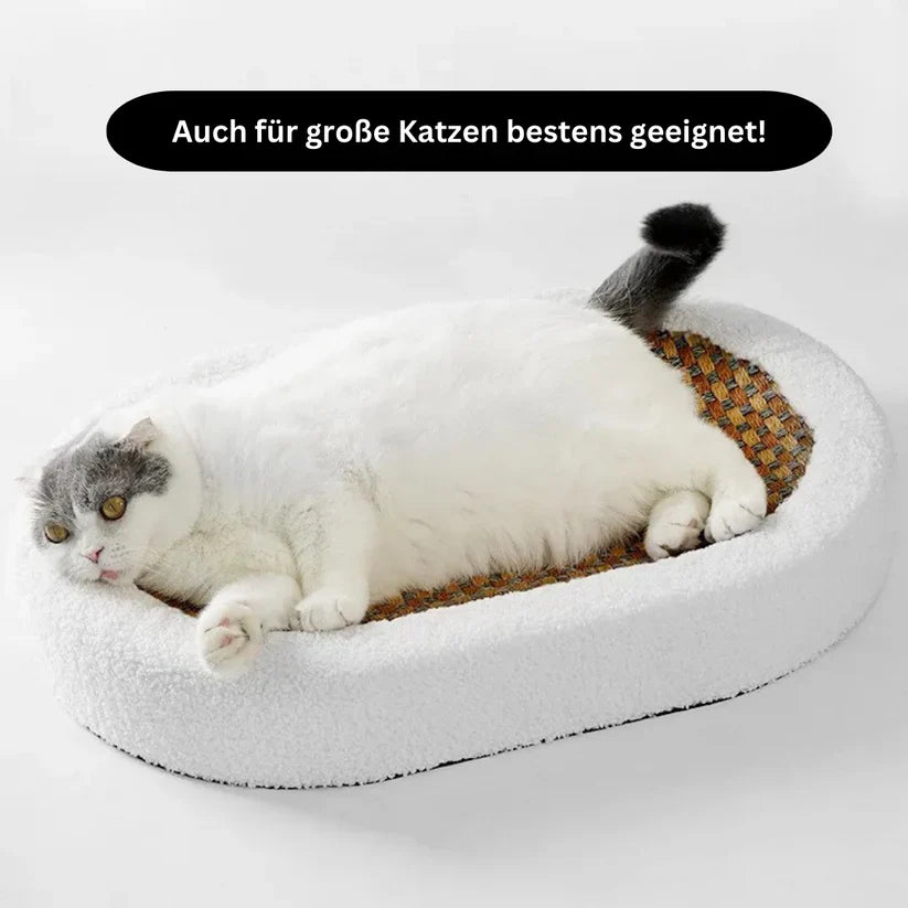 Lit Pour Chat Premium Avec Plaque À Gratter