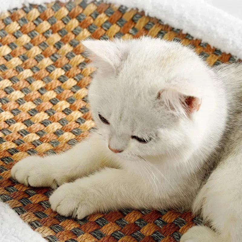 Lit Pour Chat Premium Avec Plaque À Gratter