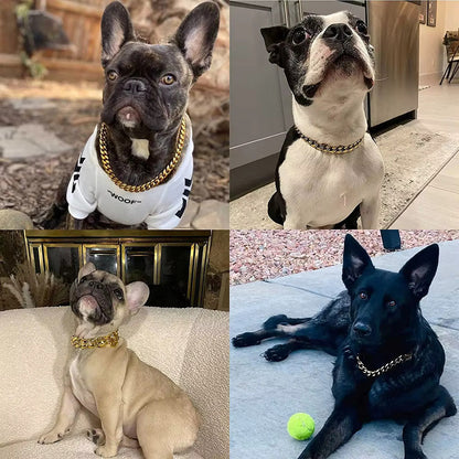 Collier Pour Chien Chaîne Dorée