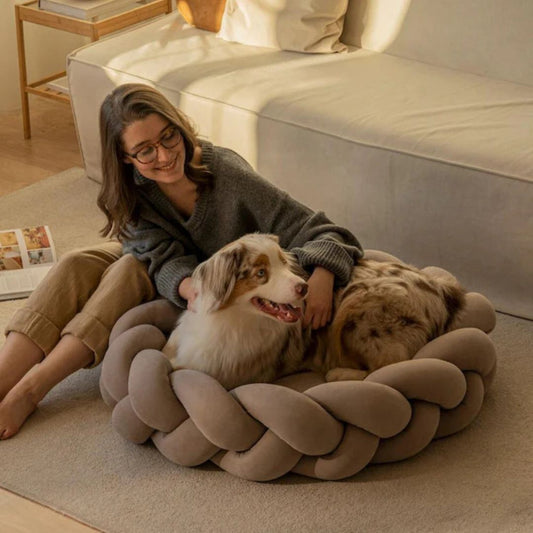 Lit de luxe pour chien