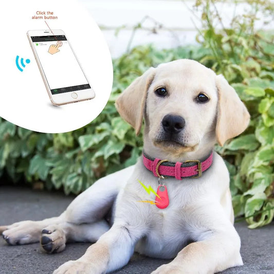 Suivi Gps Pour Animaux