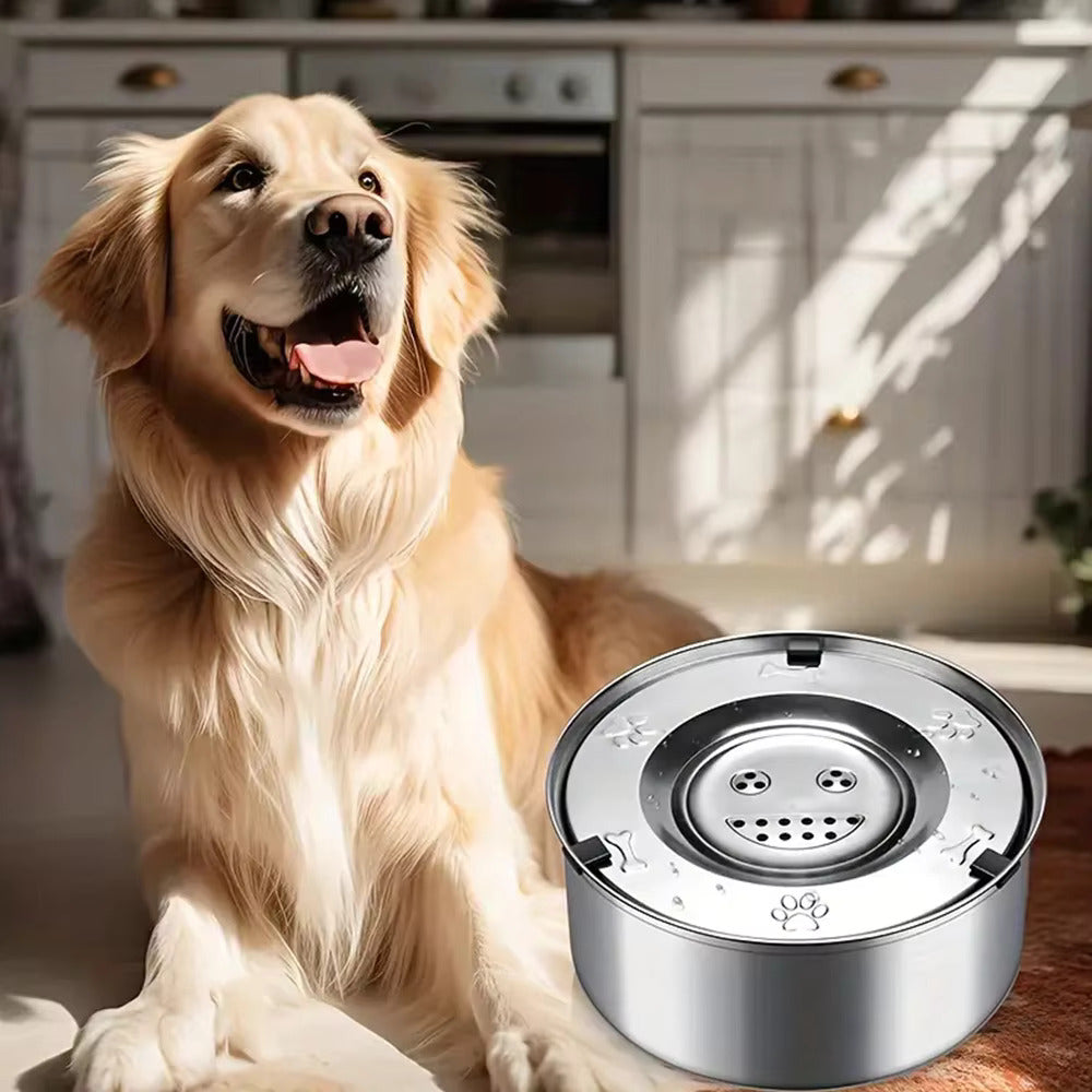Bol D'eau En Acier Inoxydable Pour Chien Avec Fonction Anti-débordement