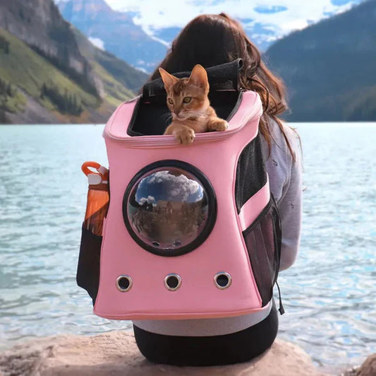 Sac De Transport Pour Chat