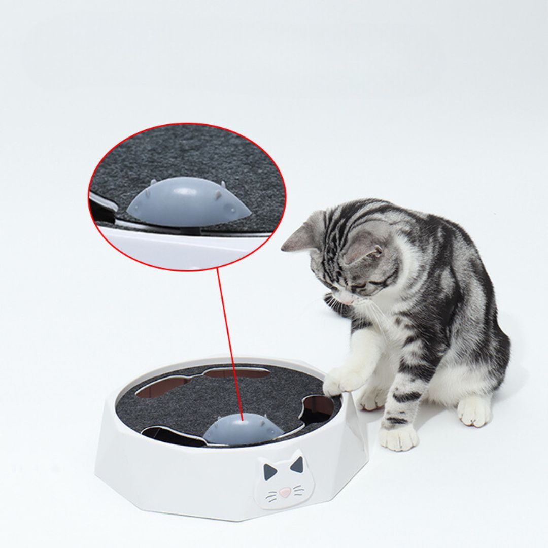 Jeu Interactif De Cache-cache De Souris Pour Chats