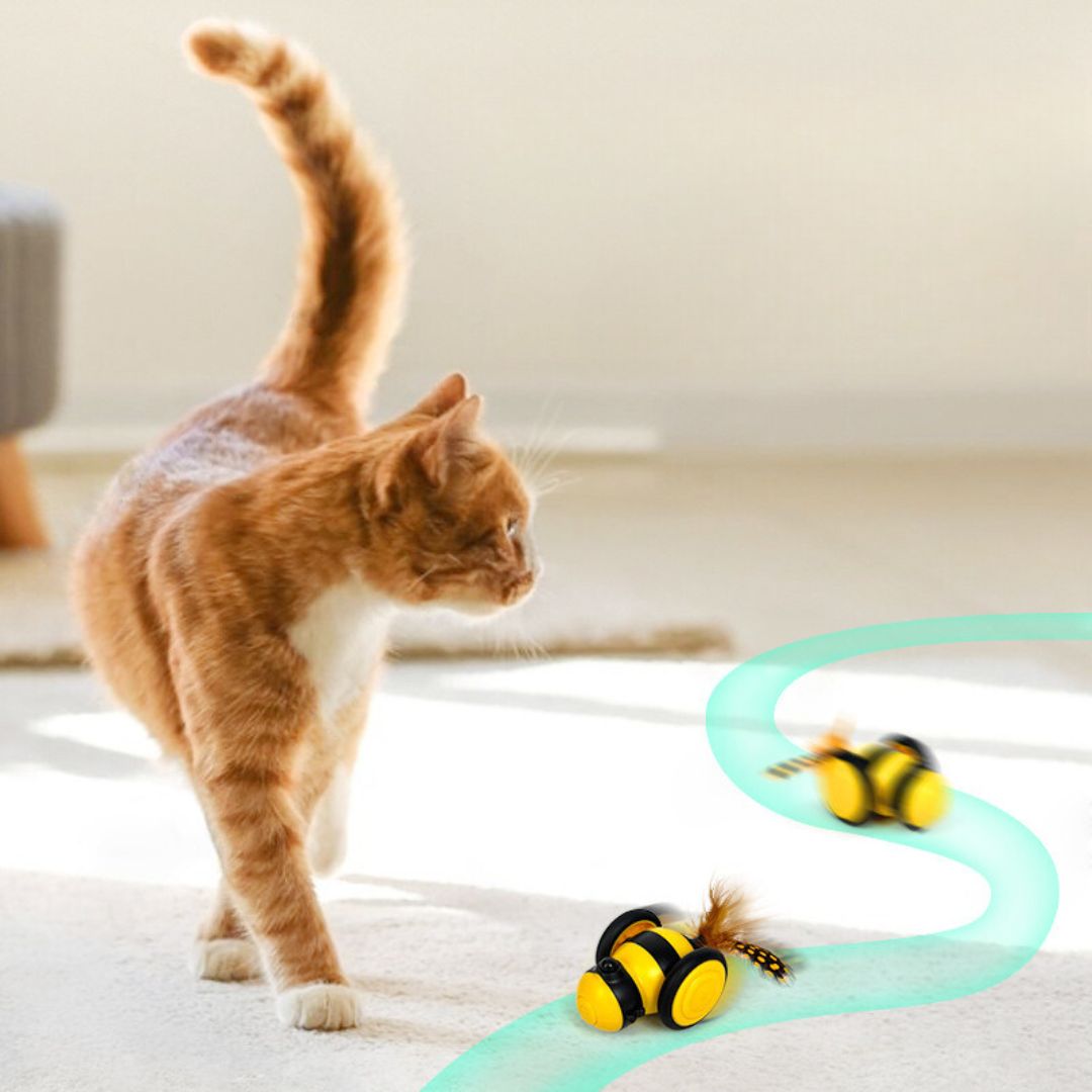 Jouet Interactif Pour Chats Abeilles Avec Plumes