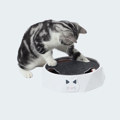 Jeu Interactif De Cache-cache De Souris Pour Chats
