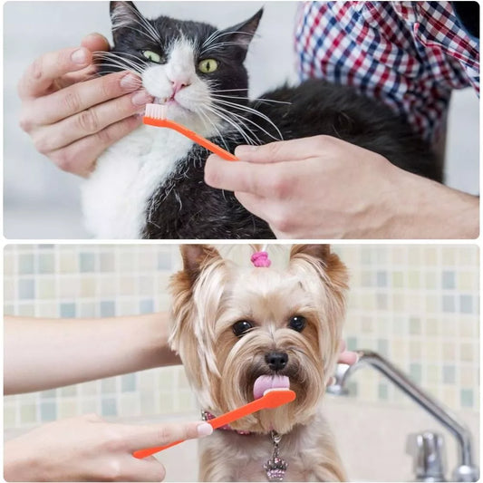 Brosses À Dents Double Tête Pour Animaux De Compagnie En Lot De Plusieurs