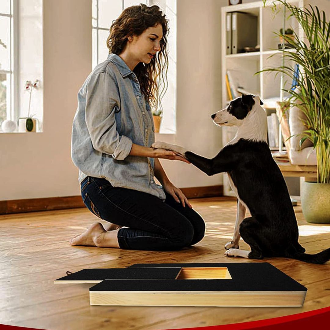 Plateau De Jeu Pour Chiens Avec Friandises Pour Raccourcir Les Griffes