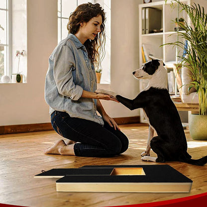 Plateau De Jeu Pour Chiens Avec Friandises Pour Raccourcir Les Griffes